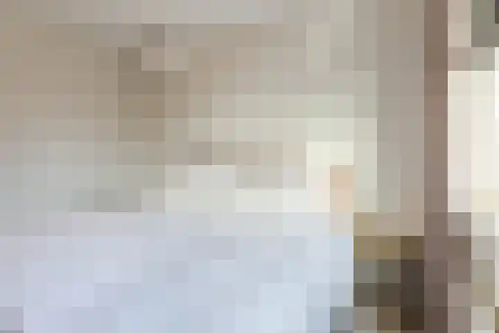 Julianalaan 72 Oosterhout thumbnail 18
