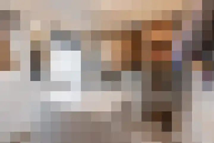 Julianalaan 72 Oosterhout thumbnail 19