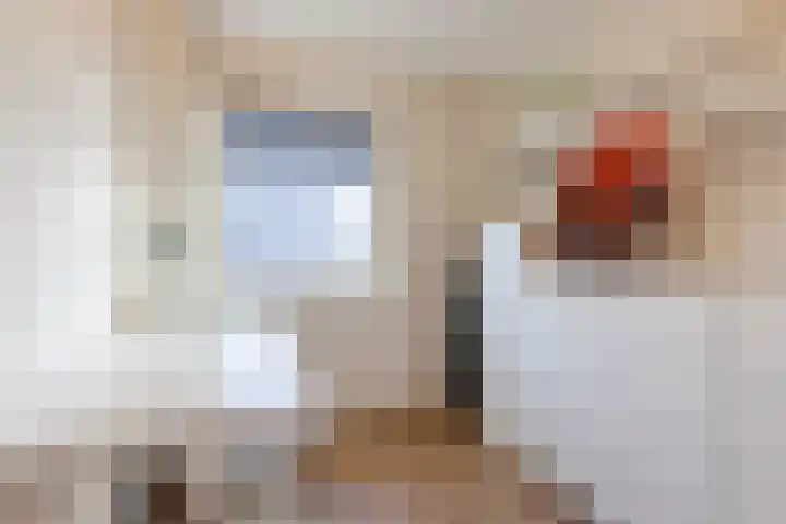 Julianalaan 72 Oosterhout thumbnail 21