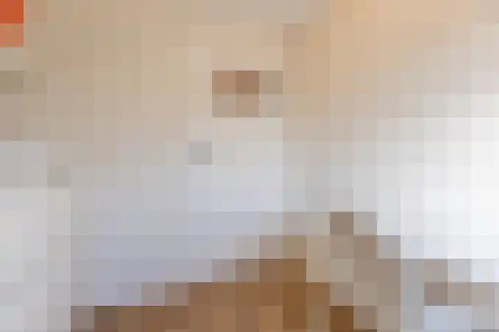 Julianalaan 72 Oosterhout thumbnail 22