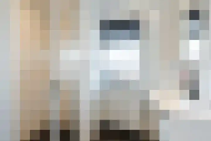 Julianalaan 72 Oosterhout thumbnail 24