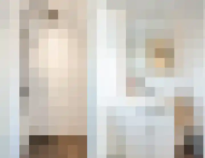 Julianalaan 72 Oosterhout thumbnail 25