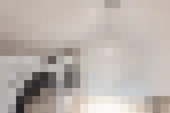 Julianalaan 72 Oosterhout thumbnail 27