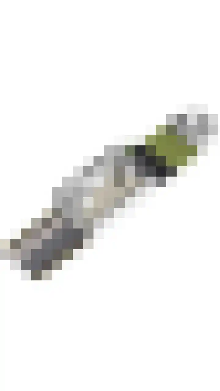 Julianalaan 72 Oosterhout thumbnail 43