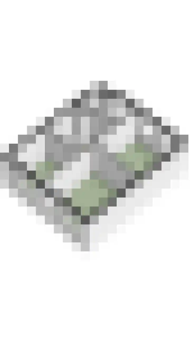 Julianalaan 72 Oosterhout thumbnail 45