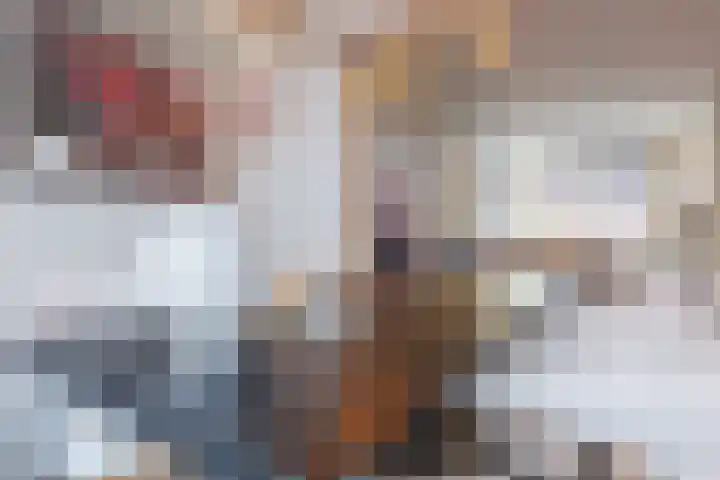 Julianalaan 72 Oosterhout thumbnail 9