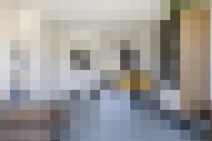 Julianalaan 73 b Leeuwarden thumbnail 14