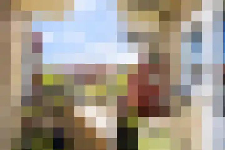 Julianalaan 73 b Leeuwarden thumbnail 20