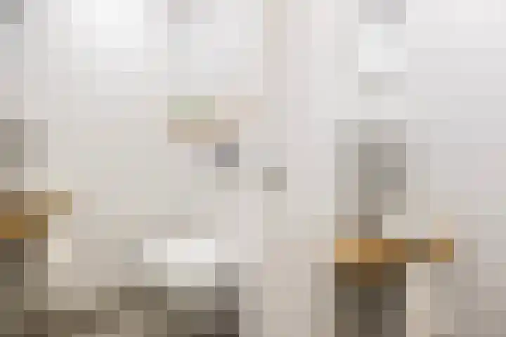 Julianalaan 73 b Leeuwarden thumbnail 25