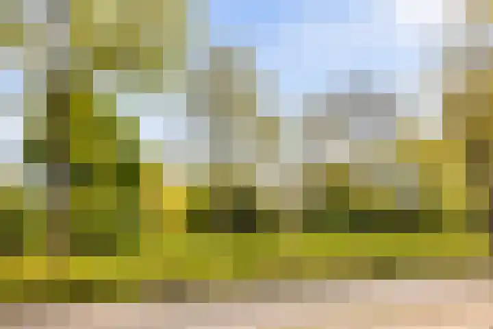 Julianalaan 73 b Leeuwarden thumbnail 29
