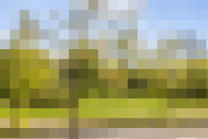 Julianalaan 73 b Leeuwarden thumbnail 30