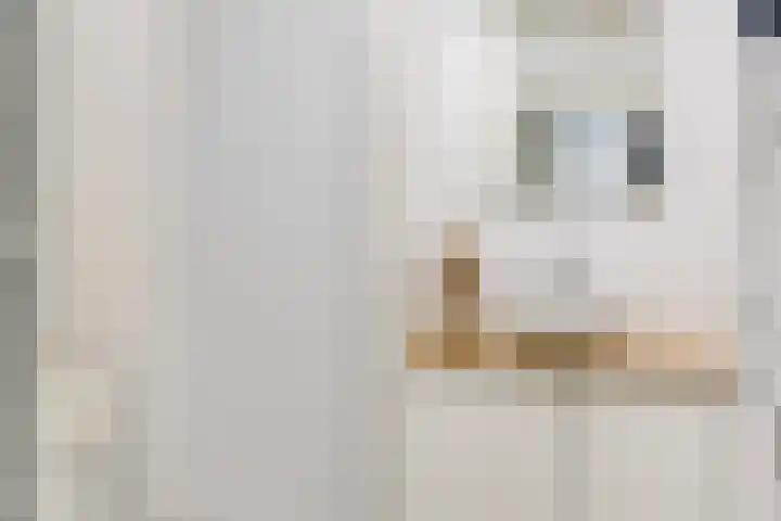 Julianalaan 73 b Leeuwarden thumbnail 5