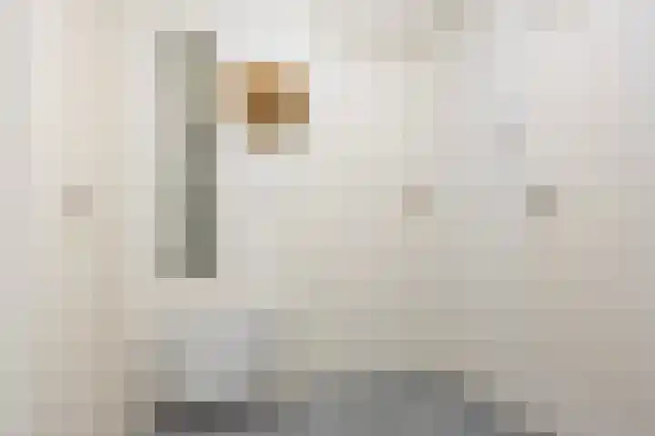 Julianalaan 73 b Leeuwarden thumbnail 8