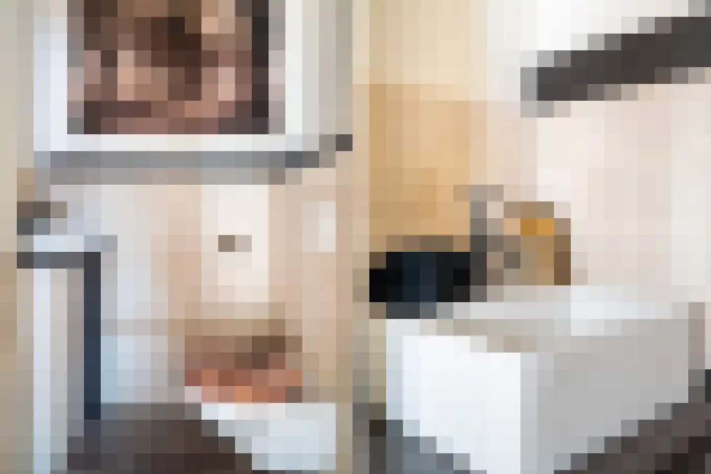 Julianalaan 74 Bergschenhoek thumbnail 16