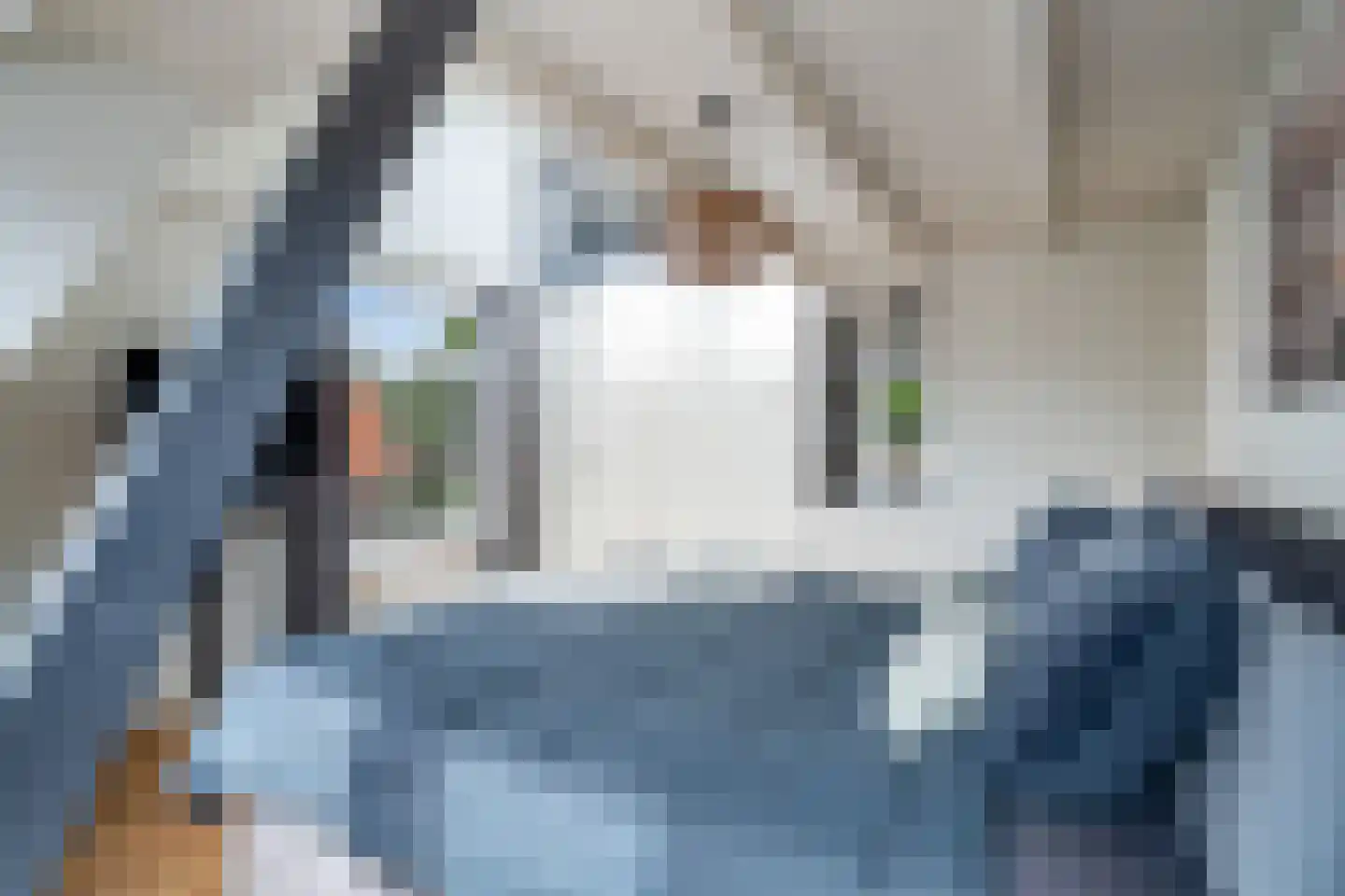 Julianalaan 74 Bergschenhoek thumbnail 19