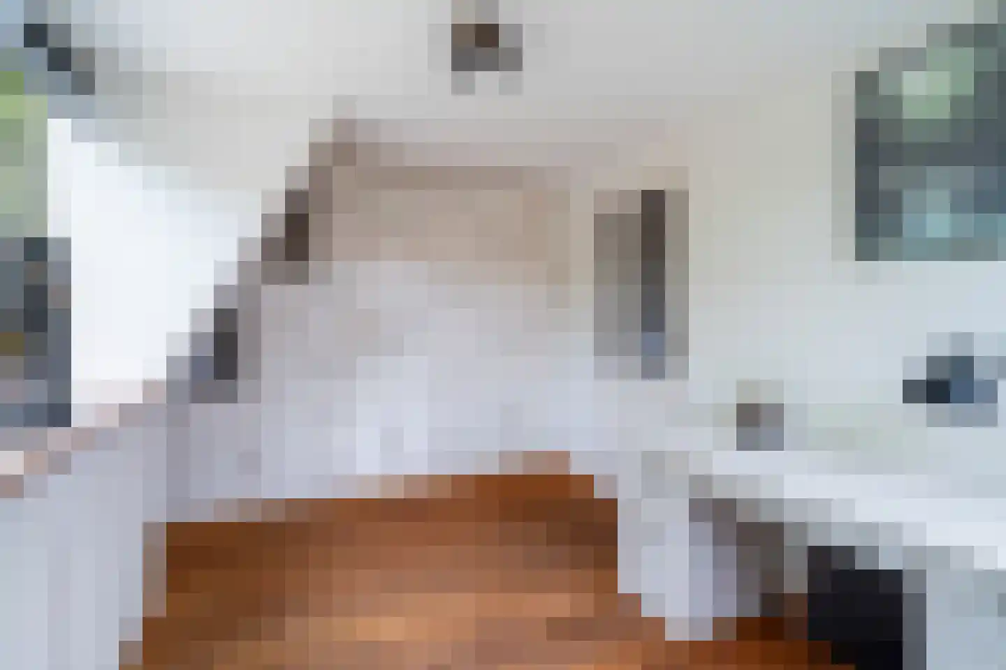 Julianalaan 74 Bergschenhoek thumbnail 21