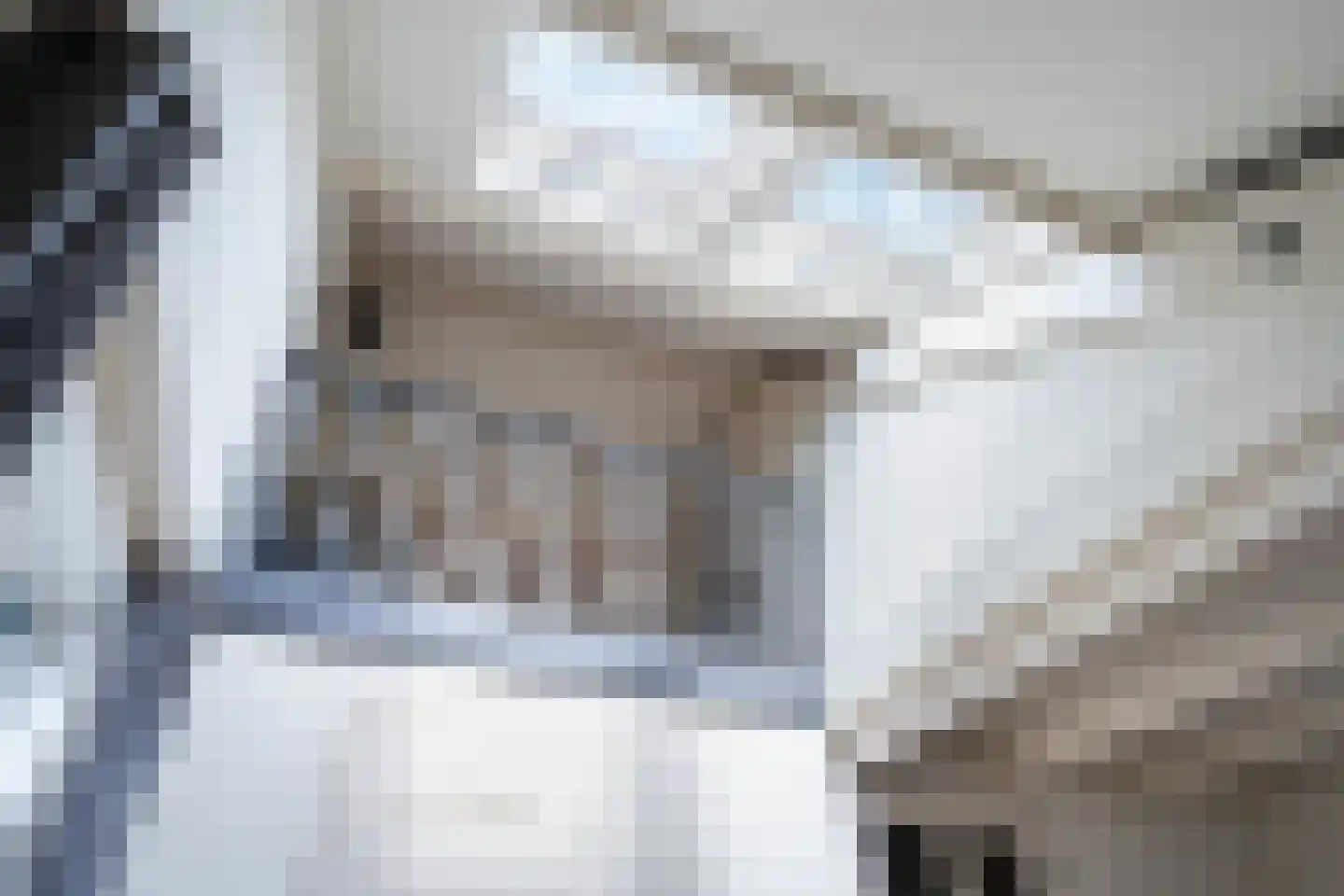 Julianalaan 74 Bergschenhoek thumbnail 25