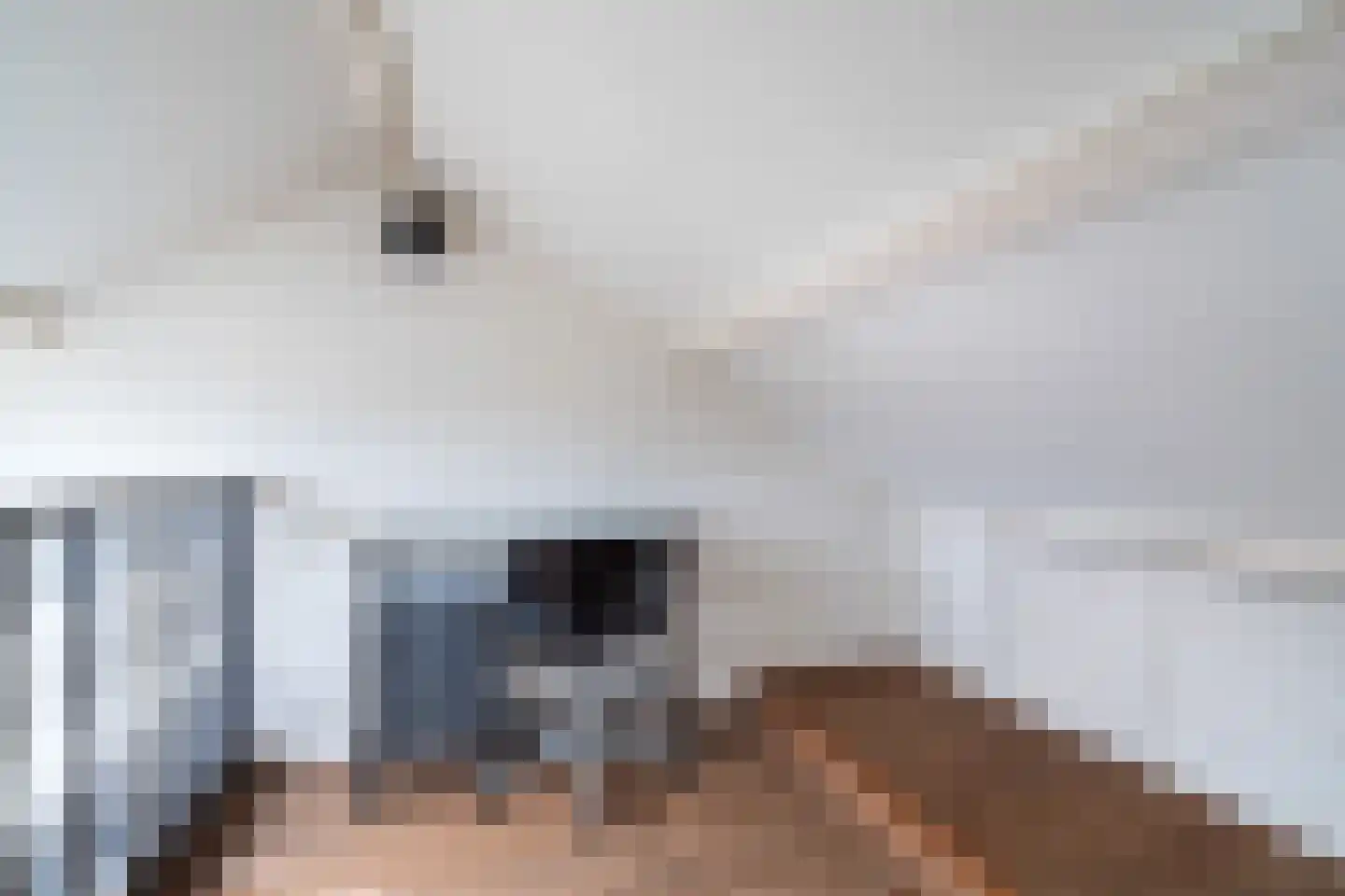 Julianalaan 74 Bergschenhoek thumbnail 27