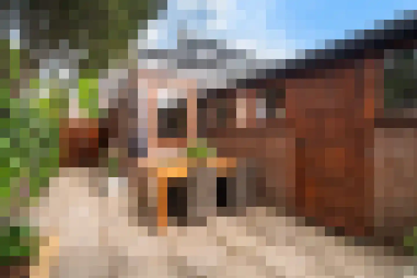 Julianalaan 74 Bergschenhoek thumbnail 28