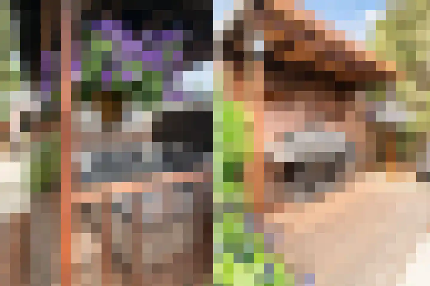 Julianalaan 74 Bergschenhoek thumbnail 32