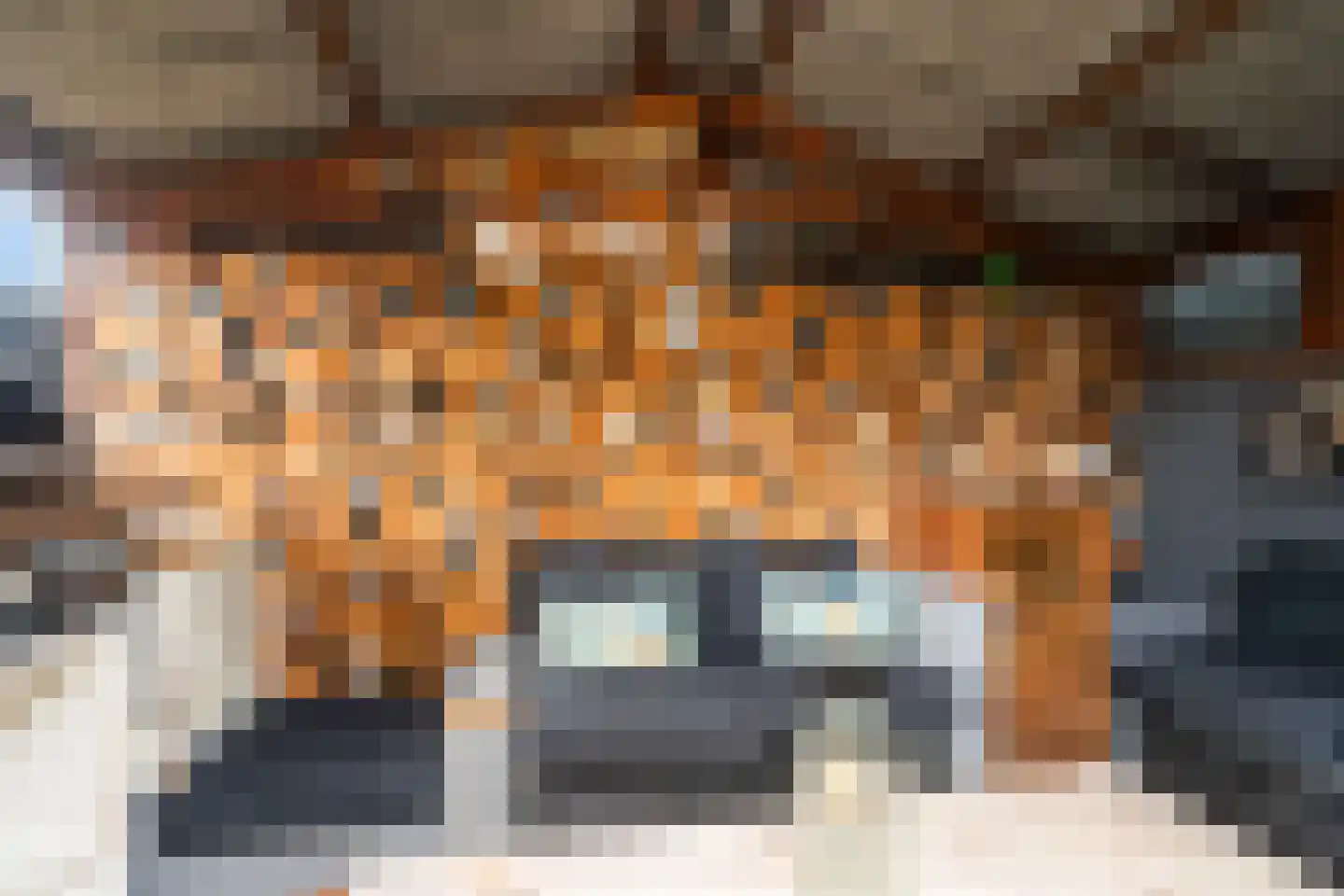 Julianalaan 74 Bergschenhoek thumbnail 33