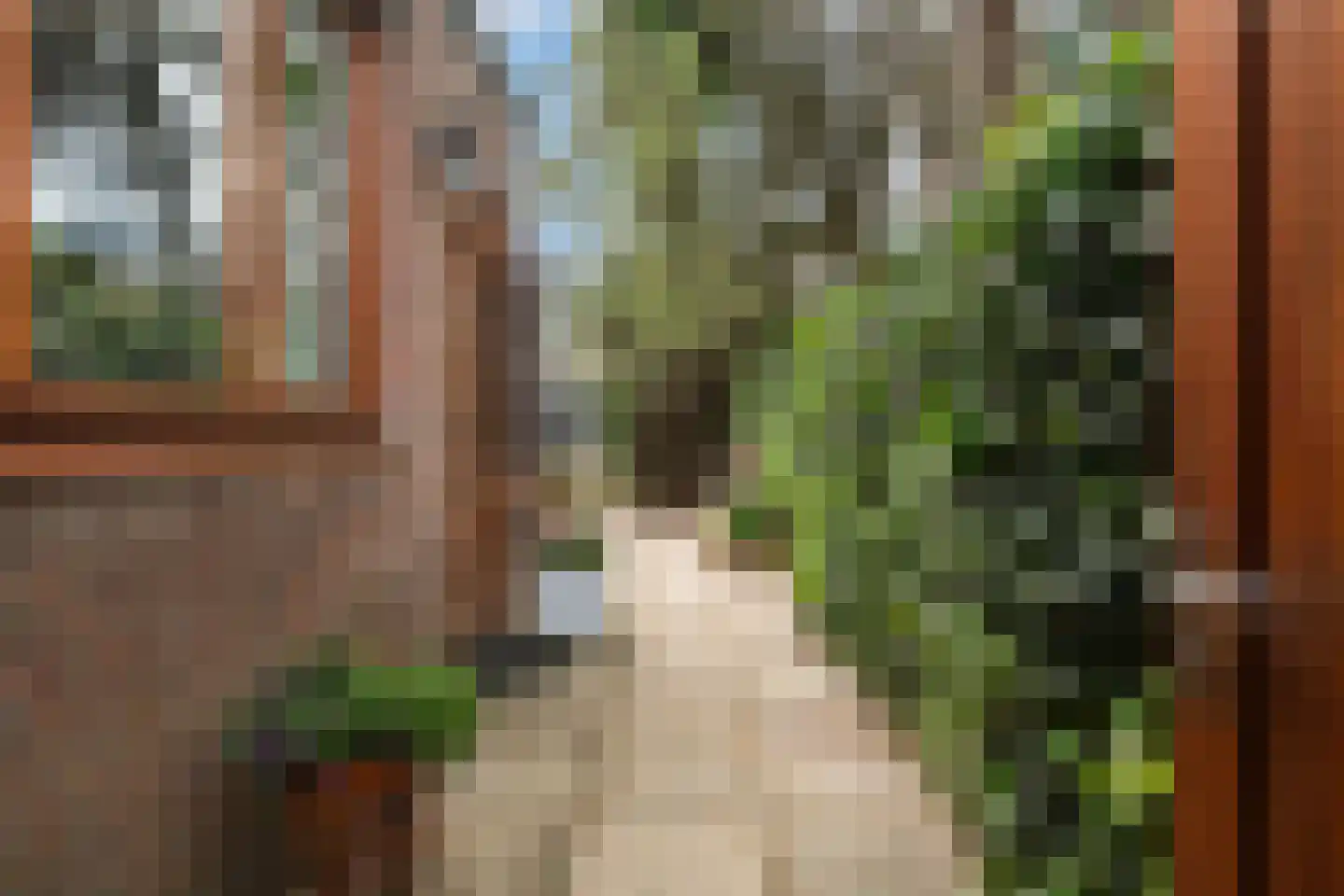 Julianalaan 74 Bergschenhoek thumbnail 35