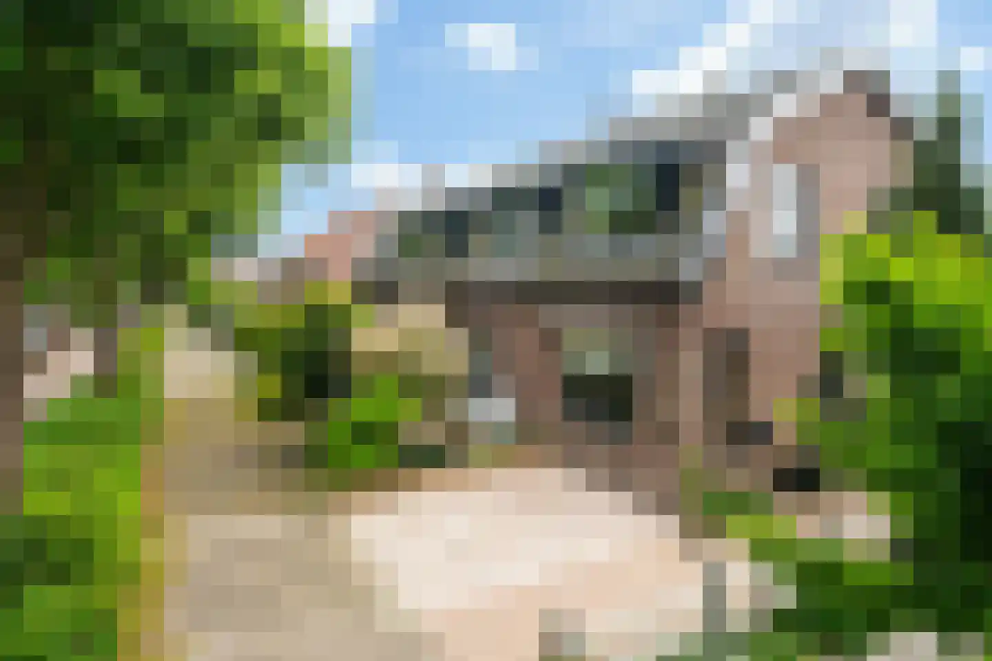 Julianalaan 74 Bergschenhoek thumbnail 38