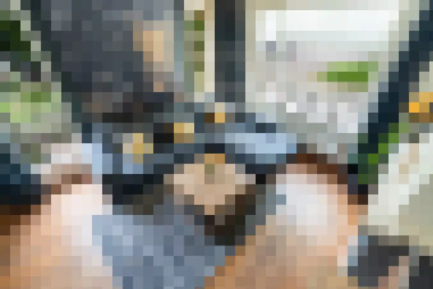 Julianalaan 74 Bergschenhoek thumbnail 6