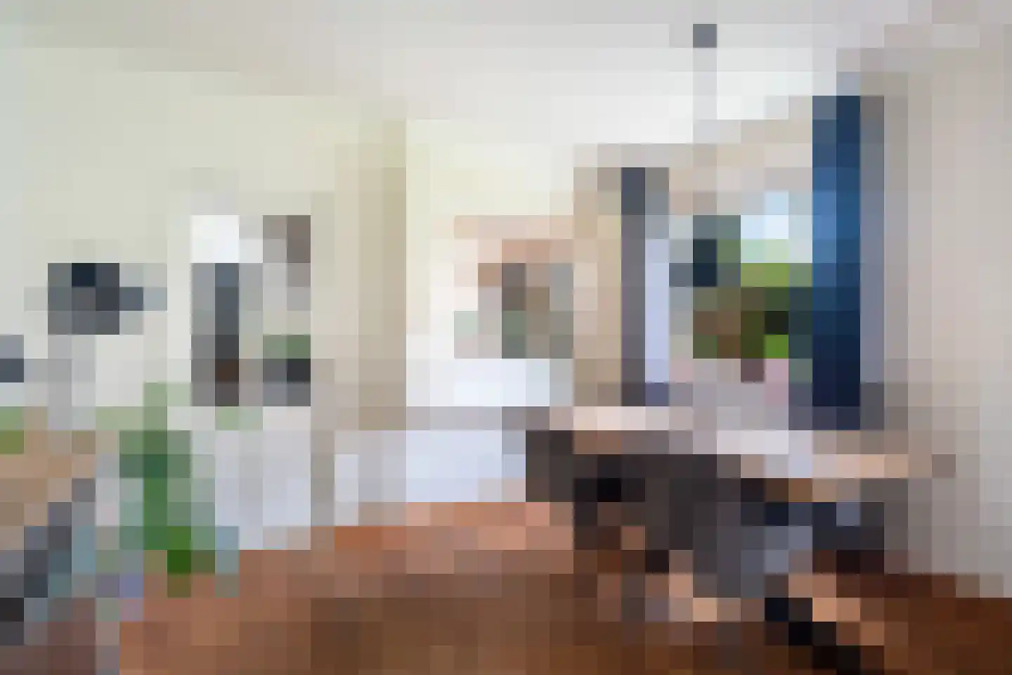 Julianalaan 74 Bergschenhoek thumbnail 9