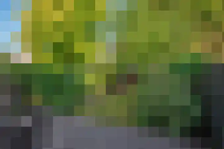 Julianalaan 75 Delft thumbnail 14