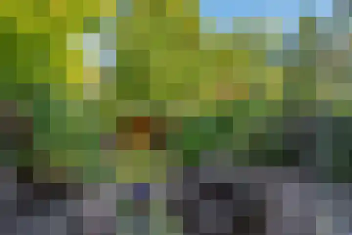 Julianalaan 75 Delft thumbnail 15