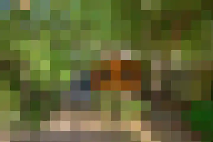 Julianalaan 75 Delft thumbnail 16