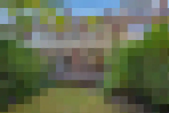 Julianalaan 75 Delft thumbnail 17