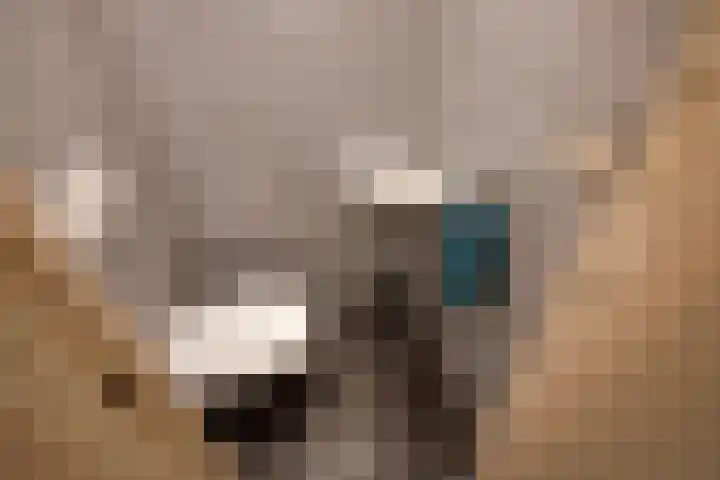 Julianalaan 75 Delft thumbnail 18