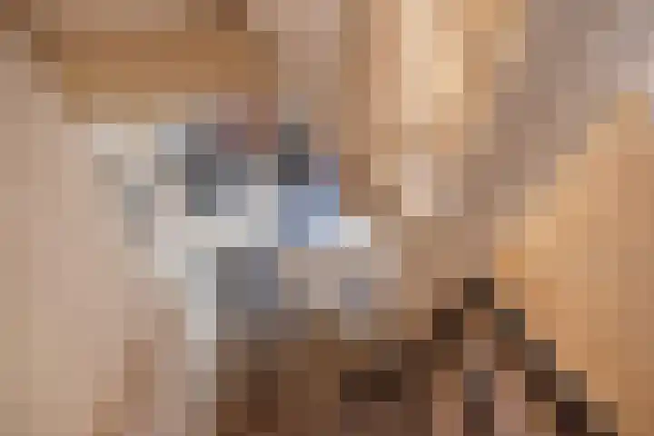 Julianalaan 75 Delft thumbnail 19