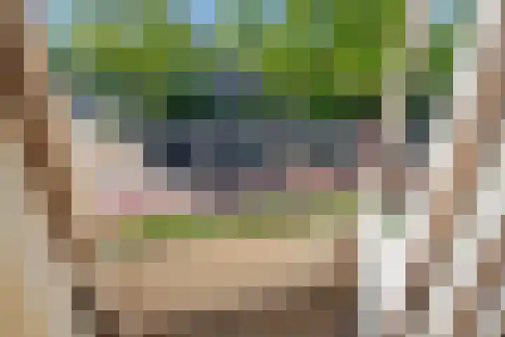 Julianalaan 75 Delft thumbnail 22