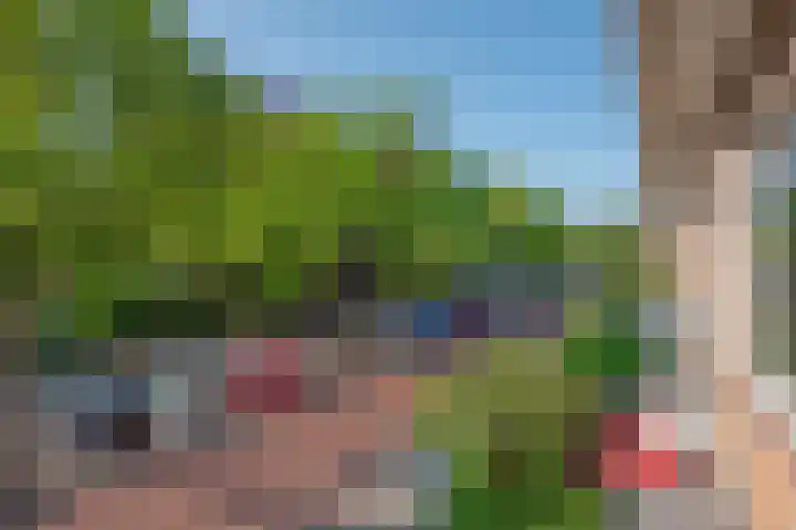Julianalaan 75 Delft thumbnail 23