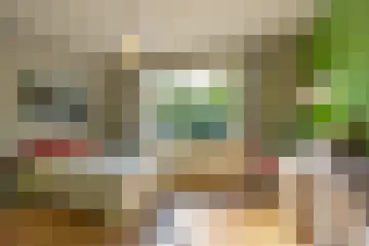 Julianalaan 75 Delft thumbnail 25