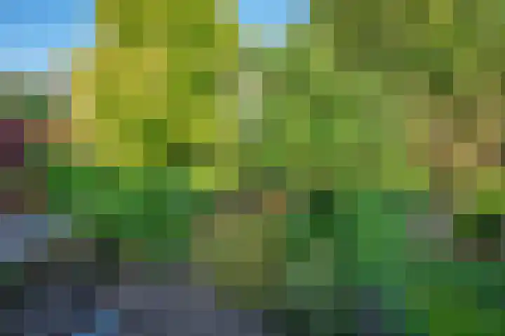 Julianalaan 75 Delft thumbnail 29