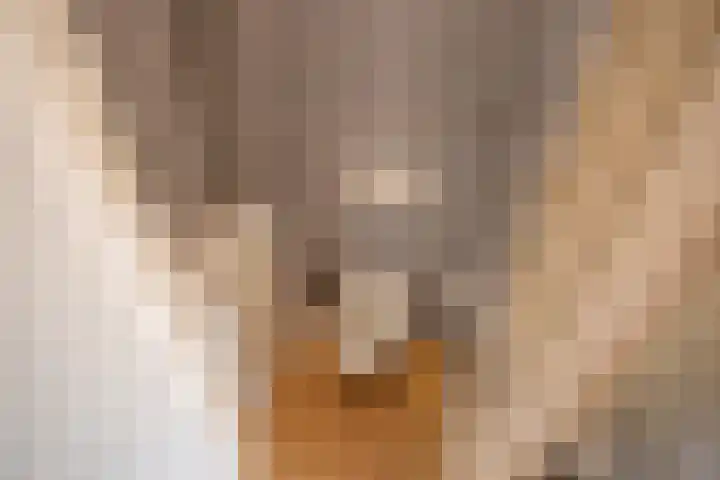 Julianalaan 75 Delft thumbnail 32