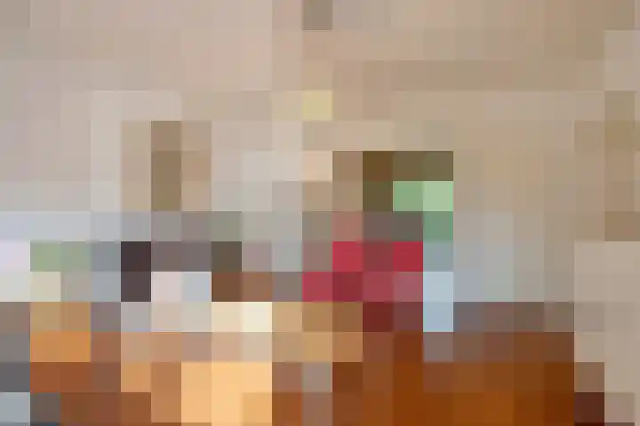 Julianalaan 75 Delft thumbnail 8