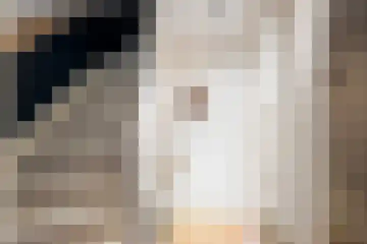 Julianalaan 76 C Schiedam thumbnail 11