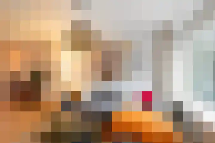Julianalaan 76 C Schiedam thumbnail 17