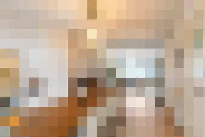 Julianalaan 76 C Schiedam thumbnail 22