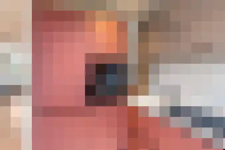 Julianalaan 76 C Schiedam thumbnail 27