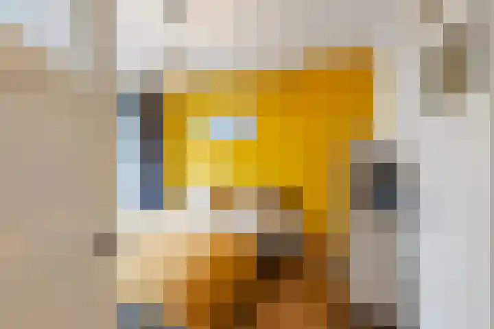 Julianalaan 76 C Schiedam thumbnail 28