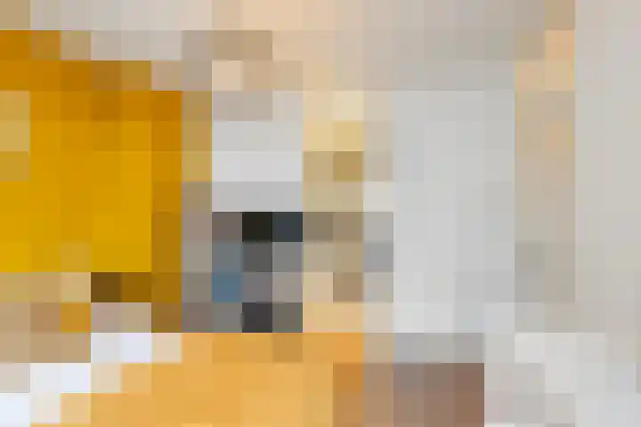 Julianalaan 76 C Schiedam thumbnail 31