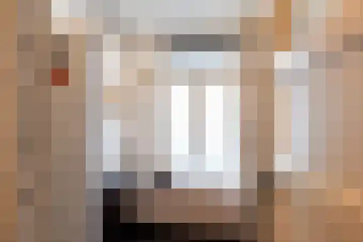 Julianalaan 76 C Schiedam thumbnail 32