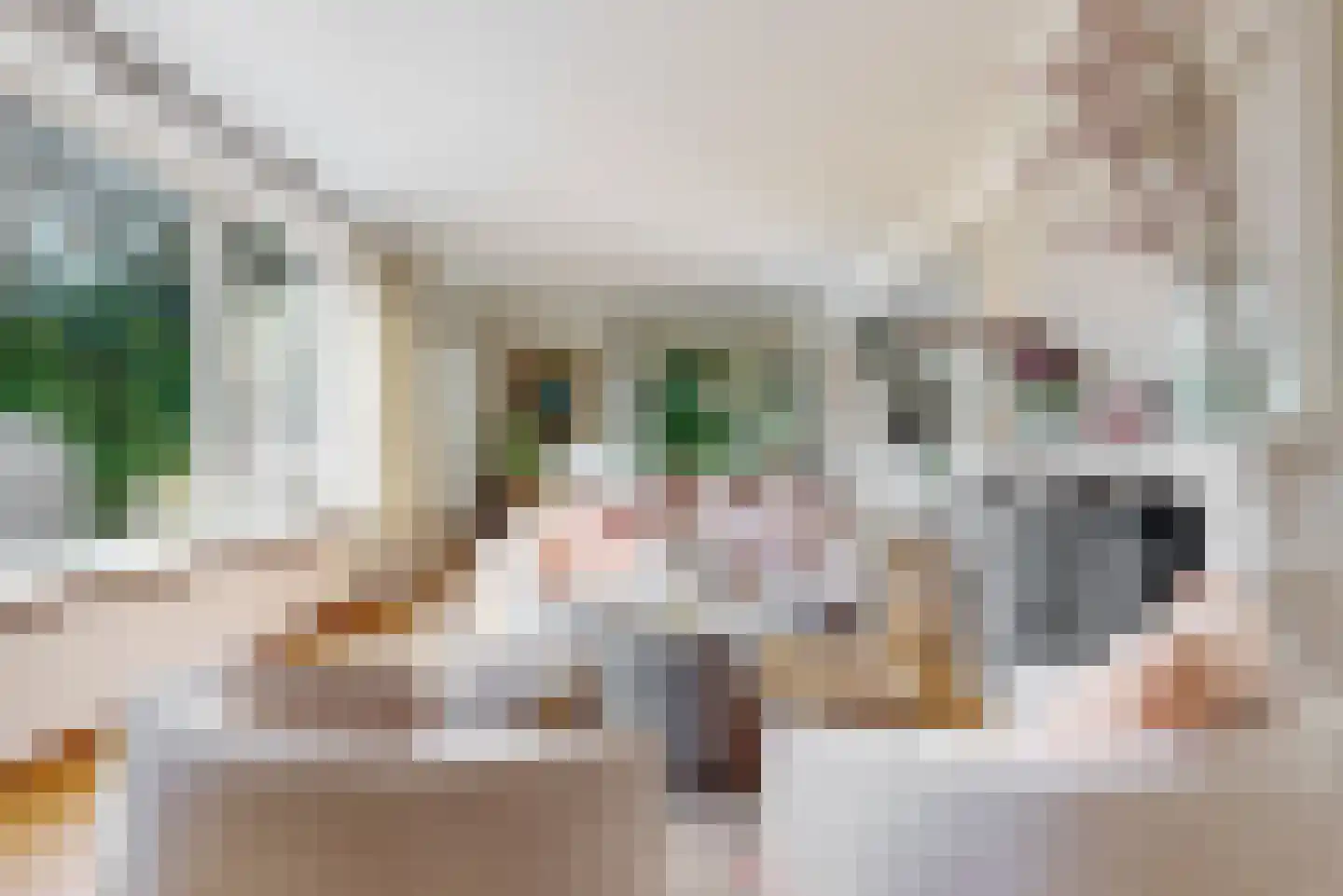 Julianalaan 77 Bilthoven thumbnail 11