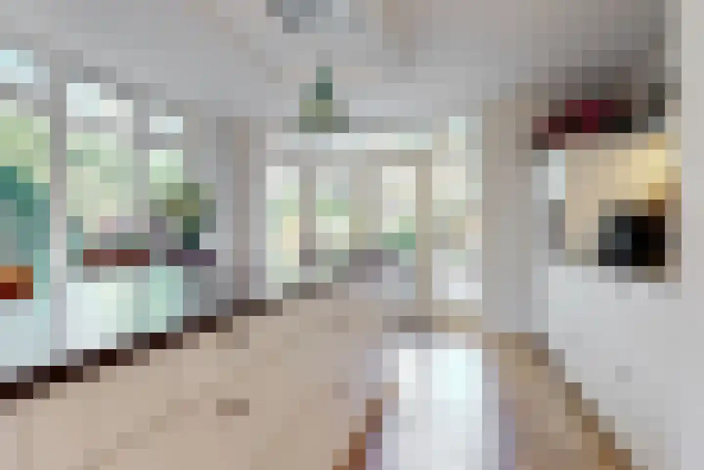 Julianalaan 77 Bilthoven thumbnail 16